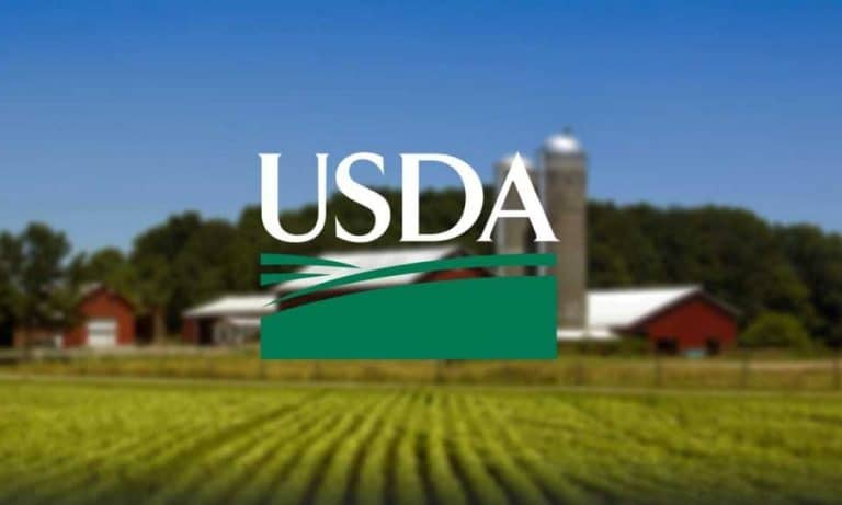 USDA Construction Loans For Barndominiums