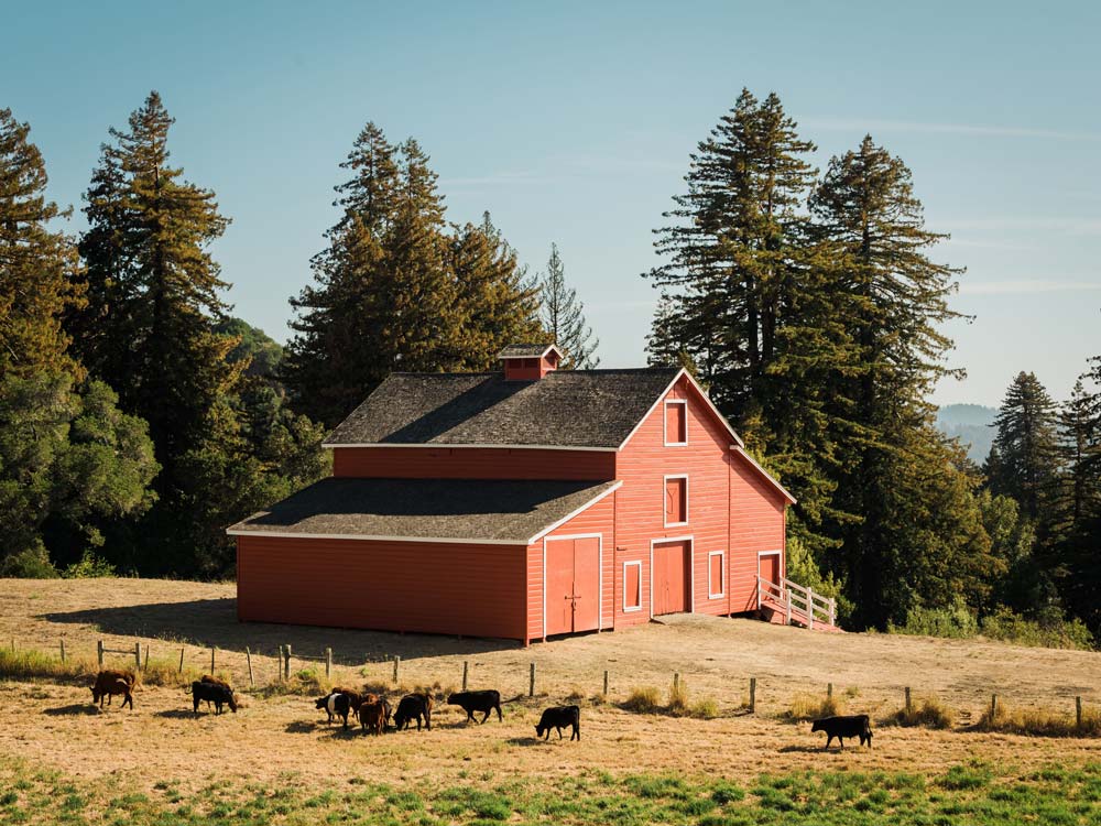 monitor barn plans